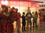 岘港市迎接2017丁酉春节首批外国游客“冲年喜”