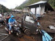 印尼巴厘岛山体滑坡致12人死亡