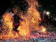 河江省巴天族同胞富有特色的跳火节