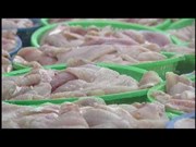 8月份越南查鱼对美国出口金额同比下降2600万美元