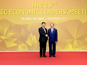 国家主席陈大光迎接APEC成员经济体代表团团长出席APEC领导人会议（组图）