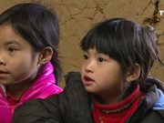 越南失学儿童比例明显下降