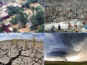 世界气象组织承诺将协助越南提高灾害预警能力