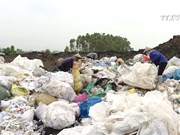 塑料袋对环境与人体健康的危害
