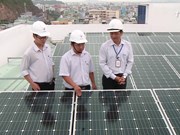 越南应加大可再生能源领域招商引资力度 
