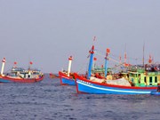 越南广南省渔民继续在传统渔场进行捕捞作业