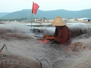 乂安省的渔具生产业（组图）