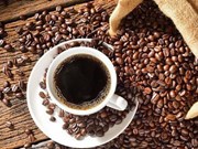 越南咖啡出口呈猛降趋势