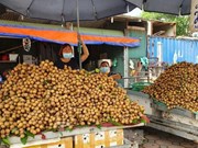 检疫工作被停止   越南农产品出口困难重重