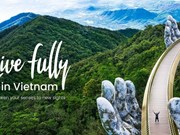 《越南：为爱而去》——促进越南旅游业展翅飞翔的宣传片