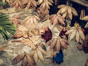组图：探访越南首士乡传统鱼陷阱编织村
