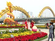 2024年春节期间越南多地接待游客量大幅增长