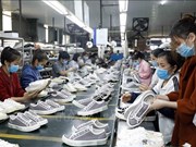 越南皮革鞋类生产与出口出现积极迹象