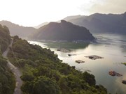 组图：越南和平省水电站周边美丽的自然风光