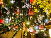 组图：河内市街道圣诞节灯火辉煌 洋溢着喜庆气氛