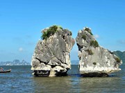 组图：广宁省下龙湾的美丽景色