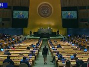 越南当选第77届联合国大会副主席 继续肯定国际舞台上的地位