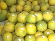 槟椥省为对出口美国的绿皮柚子做好准备
