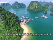 越南下龙湾跻身世界25个最美目的地