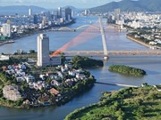 组图：岘港市“白鹭天堂”：白鹭成群翱翔的美景
