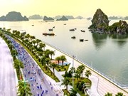 越南体育旅游潜力巨大   体育旅游成为许多游客选择的趋势