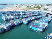 宁顺省加强渔船监管工作 杜绝违反IUU捕捞行为发生 