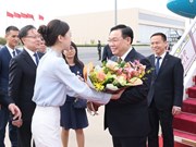 越南国会主席王廷惠抵达北京 开始访华之旅