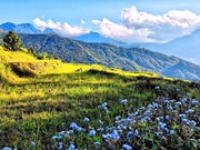 组图：九月到依梯观赏稻子成熟的黄金梯田风景