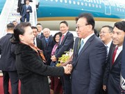 越南国会主席阮氏金银抵达釜山 开始对韩国进行正式访问（组图）
