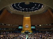 越南以高票当选联合国安理会非常任理事国（组图）