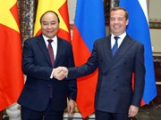 越南政府总理阮春福同俄罗斯总理梅德韦杰夫举行会谈（组图）