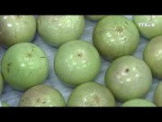 越南成功出口6种新鲜水果
