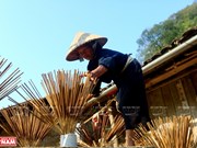 组图：菲塔制香村为保护侬族信仰文化特色做出贡献