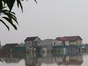 组图：乂安省洪水消退缓慢  数千名学生暂时无法上学