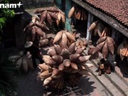 传统鱼篓编织——越南北部三角洲的独特传统手工艺