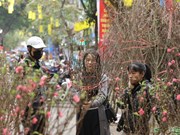 组图：2023年梳行传统春节花市热闹开市
