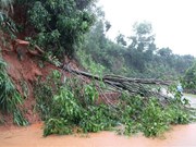 组图：第九号台风袭击  对越南南中部地区各省造成巨大损失