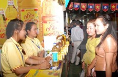 越南岘港市与老挝各省加强合作