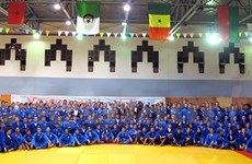 2015年越武道世界锦标赛展示越南文化精华