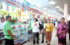 2015年岘港—东西经济走廊投资贸易和旅游国际博览会在岘港开展