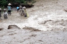 越南北部山区各省遭暴雨洪水袭击 致3人死亡4人受伤