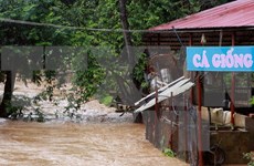 越南北部各省连日暴雨造成12人死亡和受伤