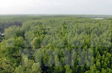 德国与澳大利亚协助越南加强森林与沿海地区生态系统保护工作