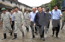 越南国家主席张晋创赴广宁省视察灾情并指导救灾工作
