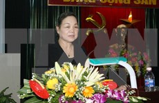 越共中央民运部长：切实做好政治局有关新形势下国外侨务工作的决议