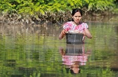 东盟帮助缅甸抗洪灾