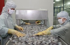 2015年越南对美国虾类出口额可能同比下降40%
