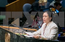 越南驻联合国大使阮芳娥：东盟与联合国携手应对安全挑战