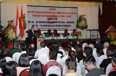 越南与印度尼西亚建交60周年纪念典礼在胡志明市举行
