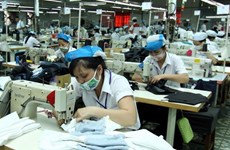 越南对阿联酋出口的大部分商品均保持同比增长态势